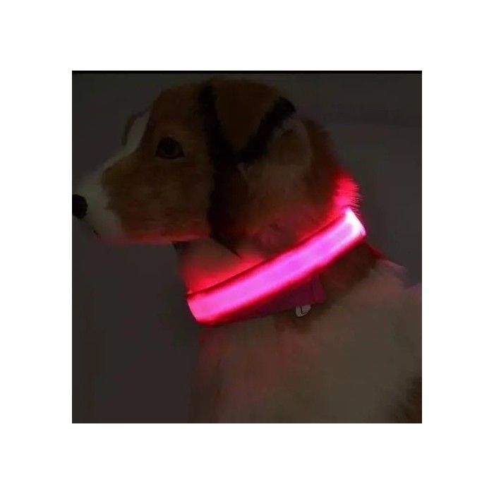 Coleira de Cão com Led