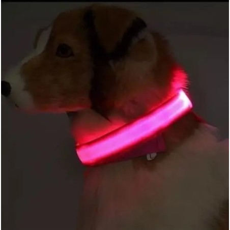 Coleira de Cão com Led