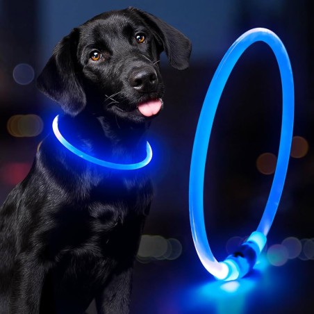Coleira de Cão com Led